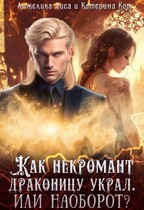 Как некромант драконицу украл. Или наоборот? / Анжелика Лиса, Катерина Кот