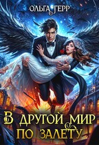 В другой мир по залету / Ольга Герр