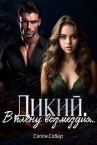 Дикий. В плену возмездия / Сэлли Собер