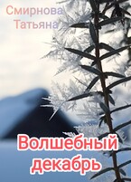 Волшебный декабрь / Татьяна Смирнова