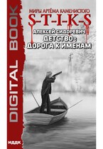Миры Артёма Каменистого. S-T-I-K-S. Детство: дорога к именам / Сидоревич Алексей