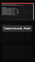 Смертельный файл / Дэн Кош