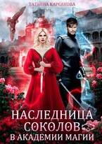 Наследница Соколов в Академии магии / Татьяна Корсакова