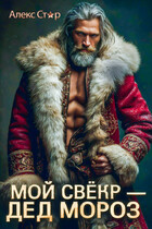Мой свёкр — Дед Мороз / Алекс Стар