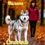 Стычка / Милана