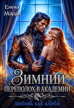 Зимний переполох в академии. Любовь как алиби / Елена Марди