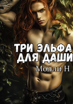 Три эльфа для Даши / Молли Н