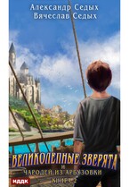 Великолепные зверята и чародей из Арбузовки. Книга 2. Чародей из Арбузовки / Седых Александр, Седых Вячеслав