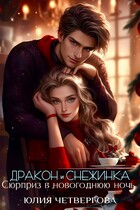 Дракон и Снежинка. Сюрприз в новогоднюю ночь / Юлия Четвергова