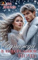 Однажды в новогоднюю ночь / Клуб Литапельсин