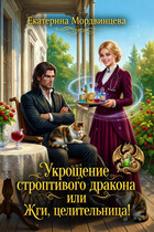 Укрощение строптивого дракона, или Жги, целительница! / Екатерина Мордвинцева