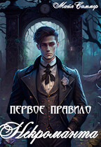 Первое правило некроманта / Майя Саммер