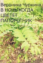 В ночь, когда цветёт папоротник. / Вероника Чуркина