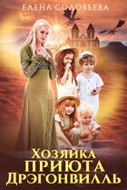Хозяйка приюта Дрэгонвилль / Елена Соловьева
