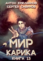 Мир Карика 13. Темный рыцарь / Антон Емельянов и Сергей Савинов