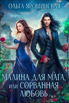 Малина для мага, или Сорванная любовь / Ольга Ярошинская