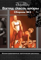 ВЗГЛЯД СКВОЗЬ ШТОРЫ.  СБОРНИК эротических рассказов №3 / Андрей Райдер