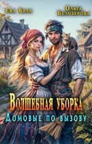 Волшебная уборка. Домовые по вызову / Ева Бран