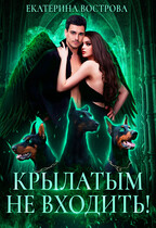 Крылатым не входить! / Екатерина Вострова