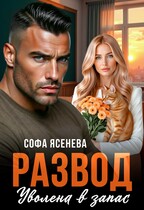 Развод. Уволена в запас / Софа Ясенева