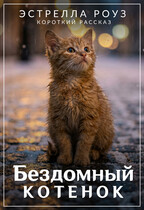 Бездомный котенок / Estrella Rose