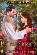 Из грязи в маги или Я замужем понарошку / Дарья Перфильева