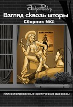 ВЗГЛЯД СКВОЗЬ ШТОРЫ.  СБОРНИК эротических рассказов №2 / Андрей Райдер