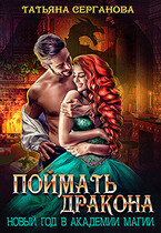 Поймать дракона. Новый год в Академии Магии / Татьяна Серганова