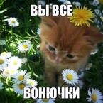 Тест / Tanya