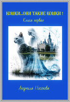 КОШКИ…ОНИ ТАКИЕ КОШКИ! / Людмила Посохова