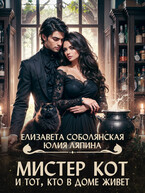 Мистер Кот и тот, кто в доме живет / Елизавета Соболянская