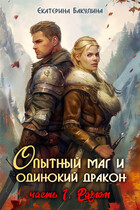 Опытный маг и одинокий дракон — 1. Разлом / Екатерина Бакулина