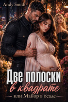 Две полоски в квадрате, или Майор в осаде / Andy Smith