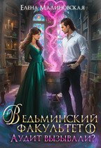 Ведьминский факультет. Книга 1. Аудит вызывали? / Елена Малиновская