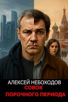 Совок порочного периода / Алексей Небоходов