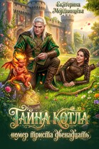 Тайна котла номер триста двенадцать / Екатерина Мордвинцева
