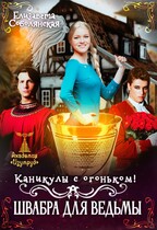 Каникулы с огоньком. Швабра для ведьмы / Елизавета Соболянская