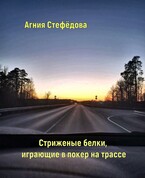 Стриженые белки, играющие в покер на трассе. / Агния Стефёдова