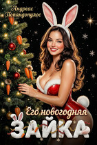 Его новогодняя зайка / Андреас Попандопулос