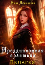 Преддипломная практика / Нина Ахминеева