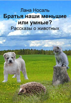 Братья наши меньшие или умные? / Лана Носаль