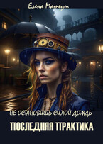 Не остановишь силой дождь. Последняя практика / Елена Матеуш