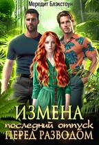 Измена. Последний отпуск перед разводом / Мередит Блэкстоун