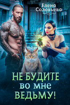 Не будите во мне ведьму / Елена Соловьева