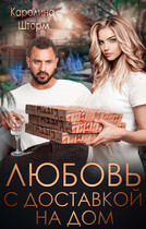Любовь с доставкой на дом / Каролина Шторм