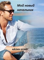 Мой новый начальник / Айлин Брайт