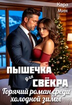 Пышечка для свёкра. Горячий роман среди холодной зимы / Кара Мин