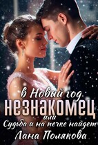 Незнакомец в Новый год или судьба и на печке найдет / Лана Полякова