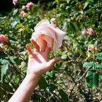 Откровение Мари / Саша Сумрак