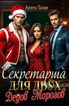Секретарша для двух Дедов Морозов / Анита Талая